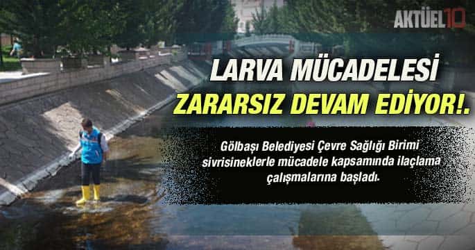 Larva mücadelesi Yusufçuklara zarar vermeden yapılıyor…