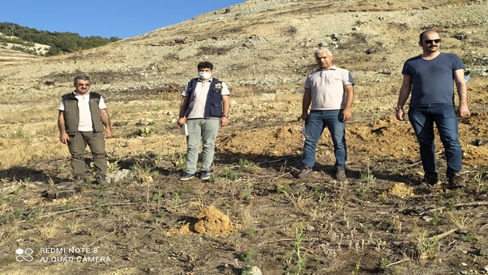 Adıyaman’da Yangın sonrası Silvikültür Tensil sahasında incelemelerde bulunuldu