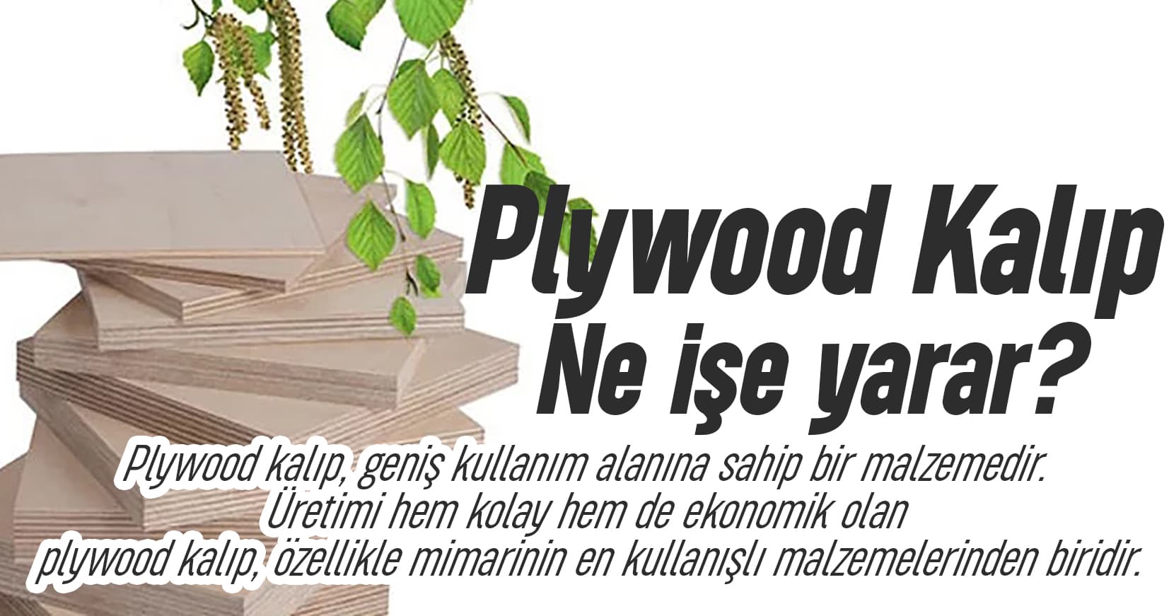 Plywood Kalıp Ne İşe Yarar?
