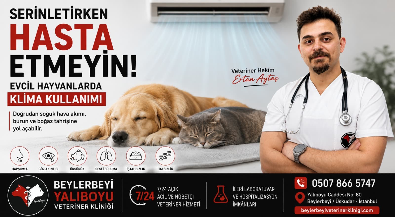 Serinletirken Hasta Etmeyin: Evcil Hayvanlarda Klima Kullanımı